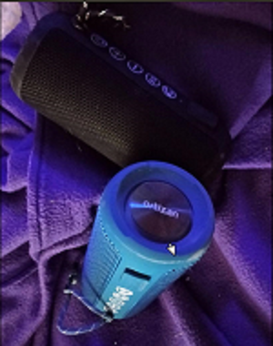 Ortizan Bluetooth Speaker